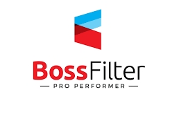 Фільтр палива BOSS FILTERS BS04010