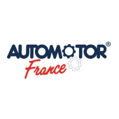 Колодки тормозные передние Citroen Saxo (96-03);Xsara (97-05)/Peugeot 106 (91-), 306 (94-01) AUTOMOTOR France ABP9106