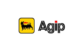 Масла, жидкости, смазки AGIP 0W301L