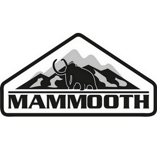 Промисловий фен MAMMOOTH MTHG2302000S