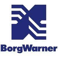 Диференційний масляний фільтр BORG WARNER BW2006273