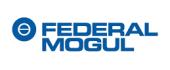 Запчастини FEDERAL MOGUL