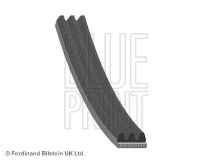 Ремень генератора поліклиновий BLUE PRINT AD03R848 (фото 1)