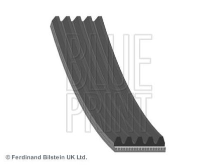 Ремінь генератора поліклиновий BLUE PRINT AD05R1355 (фото 1)