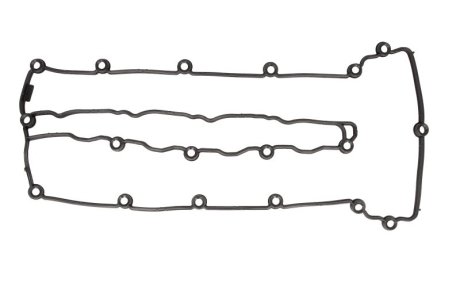 Прокладка кришки клапанів ELRING 429.310